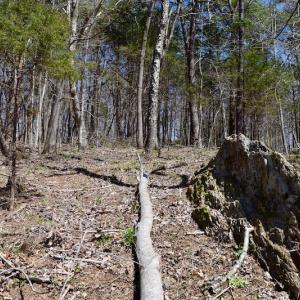 Photo of REDUCED!  5.4 Acres of Waterfront Recreational Land For Sale in Bedford County VA!