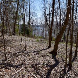 Photo of REDUCED!  5.4 Acres of Waterfront Recreational Land For Sale in Bedford County VA!
