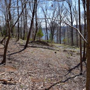 Photo of REDUCED!  5.4 Acres of Waterfront Recreational Land For Sale in Bedford County VA!