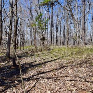 Photo of REDUCED!  5.4 Acres of Waterfront Recreational Land For Sale in Bedford County VA!