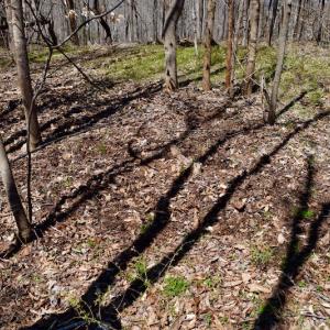 Photo of REDUCED!  5.4 Acres of Waterfront Recreational Land For Sale in Bedford County VA!