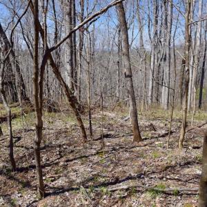 Photo of REDUCED!  5.4 Acres of Waterfront Recreational Land For Sale in Bedford County VA!