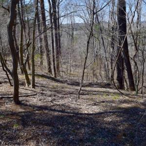 Photo of REDUCED!  5.4 Acres of Waterfront Recreational Land For Sale in Bedford County VA!