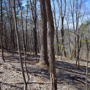 Photo of REDUCED!  5.4 Acres of Waterfront Recreational Land For Sale in Bedford County VA!