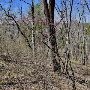 Photo of REDUCED!  5.4 Acres of Waterfront Recreational Land For Sale in Bedford County VA!