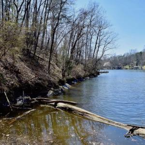 Photo of REDUCED!  5.4 Acres of Waterfront Recreational Land For Sale in Bedford County VA!
