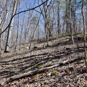 Photo of REDUCED!  5.4 Acres of Waterfront Recreational Land For Sale in Bedford County VA!