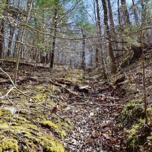 Photo of REDUCED!  5.4 Acres of Waterfront Recreational Land For Sale in Bedford County VA!