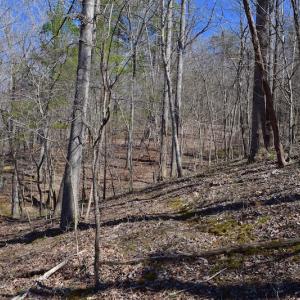 Photo of REDUCED!  5.4 Acres of Waterfront Recreational Land For Sale in Bedford County VA!