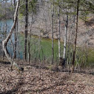 Photo of REDUCED!  5.4 Acres of Waterfront Recreational Land For Sale in Bedford County VA!