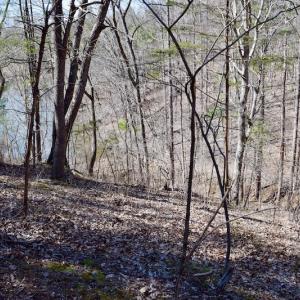 Photo of REDUCED!  5.4 Acres of Waterfront Recreational Land For Sale in Bedford County VA!