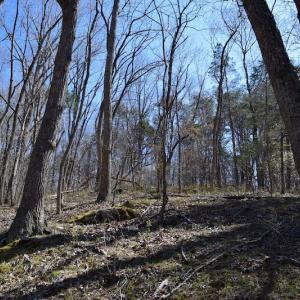Photo of REDUCED!  5.4 Acres of Waterfront Recreational Land For Sale in Bedford County VA!