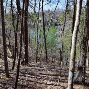 Photo of REDUCED!  5.4 Acres of Waterfront Recreational Land For Sale in Bedford County VA!