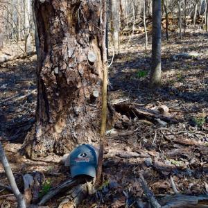 Photo of REDUCED!  5.4 Acres of Waterfront Recreational Land For Sale in Bedford County VA!