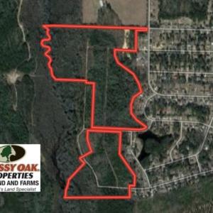 Photo of SOLD!!  77 Acres of Hunting Land For Sale in Scotland County NC!
