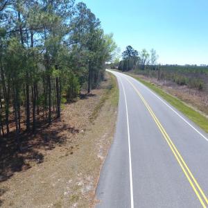Photo of UNDER CONTRACT!  30 Acres of Hunting and Timberland For Sale in Bladen County NC!