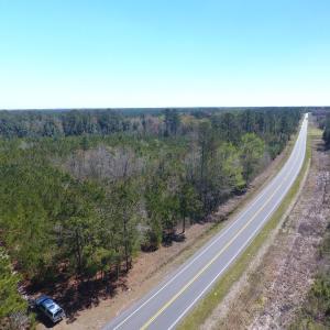 Photo of UNDER CONTRACT!  30 Acres of Hunting and Timberland For Sale in Bladen County NC!