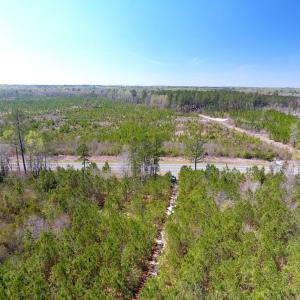 Photo of UNDER CONTRACT!  30 Acres of Hunting and Timberland For Sale in Bladen County NC!