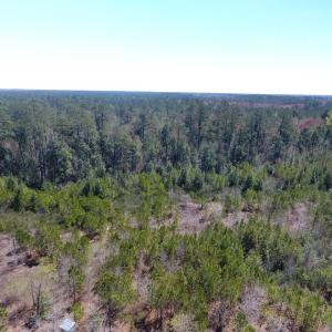 Photo of UNDER CONTRACT!  30 Acres of Hunting and Timberland For Sale in Bladen County NC!