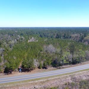 Photo of UNDER CONTRACT!  30 Acres of Hunting and Timberland For Sale in Bladen County NC!