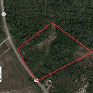 Photo of UNDER CONTRACT!  30 Acres of Hunting and Timberland For Sale in Bladen County NC!