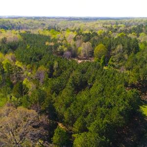 Photo of UNDER CONTRACT!  5 Acres of Residential and Recreational Land For Sale in Chatham County NC!