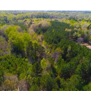 Photo of UNDER CONTRACT!  5 Acres of Residential and Recreational Land For Sale in Chatham County NC!
