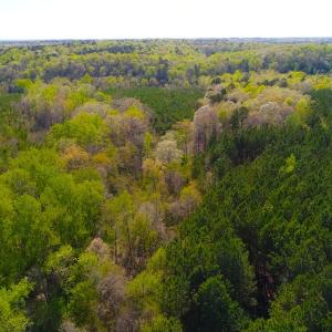 Photo of UNDER CONTRACT!  5 Acres of Residential and Recreational Land For Sale in Chatham County NC!