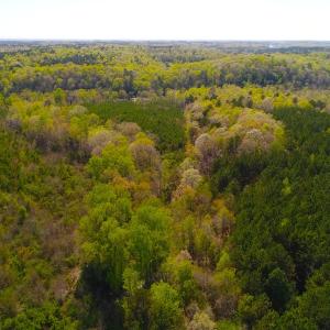Photo of UNDER CONTRACT!  5 Acres of Residential and Recreational Land For Sale in Chatham County NC!