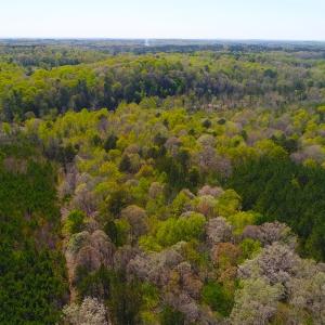 Photo of UNDER CONTRACT!  5 Acres of Residential and Recreational Land For Sale in Chatham County NC!