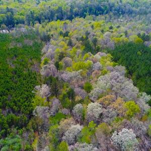Photo of UNDER CONTRACT!  5 Acres of Residential and Recreational Land For Sale in Chatham County NC!