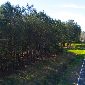 Photo of UNDER CONTRACT!  5 Acres of Residential and Recreational Land For Sale in Chatham County NC!