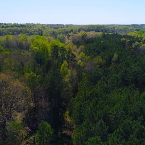 Photo of UNDER CONTRACT!  5 Acres of Residential and Recreational Land For Sale in Chatham County NC!