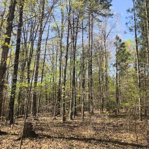 Photo of UNDER CONTRACT!  5 Acres of Residential and Recreational Land For Sale in Chatham County NC!
