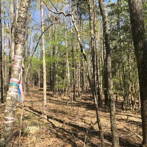 Photo of UNDER CONTRACT!  5 Acres of Residential and Recreational Land For Sale in Chatham County NC!