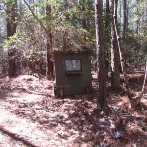 Photo of UNDER CONTRACT!  42 Acres of Hunting and Timber Land For Sale in Accomack County VA!