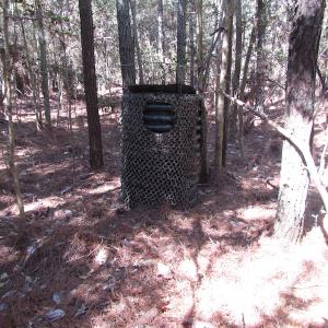 Photo of UNDER CONTRACT!  42 Acres of Hunting and Timber Land For Sale in Accomack County VA!