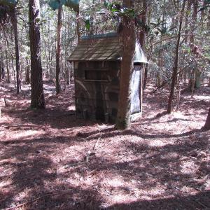 Photo of UNDER CONTRACT!  42 Acres of Hunting and Timber Land For Sale in Accomack County VA!
