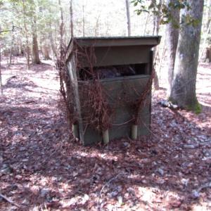 Photo of UNDER CONTRACT!  42 Acres of Hunting and Timber Land For Sale in Accomack County VA!