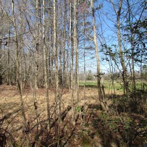 Photo of UNDER CONTRACT!  42 Acres of Hunting and Timber Land For Sale in Accomack County VA!