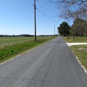 Photo of UNDER CONTRACT!  42 Acres of Hunting and Timber Land For Sale in Accomack County VA!