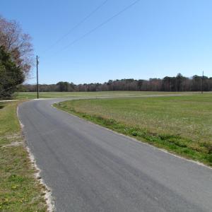 Photo of UNDER CONTRACT!  42 Acres of Hunting and Timber Land For Sale in Accomack County VA!