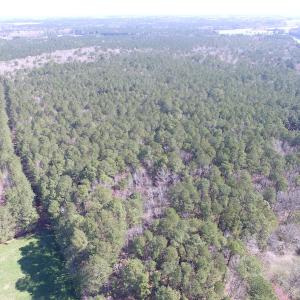Photo of UNDER CONTRACT!  42 Acres of Hunting and Timber Land For Sale in Accomack County VA!