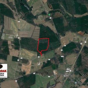 Photo of UNDER CONTRACT!  42 Acres of Hunting and Timber Land For Sale in Accomack County VA!