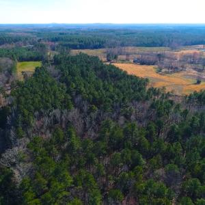 Photo of SOLD!  12.65 Acres of Residential Timber Land For Sale In Granville County NC!