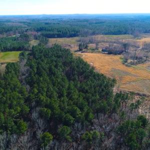 Photo of SOLD!  12.65 Acres of Residential Timber Land For Sale In Granville County NC!