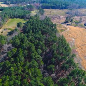Photo of SOLD!  12.65 Acres of Residential Timber Land For Sale In Granville County NC!