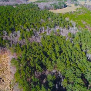 Photo of SOLD!  12.65 Acres of Residential Timber Land For Sale In Granville County NC!