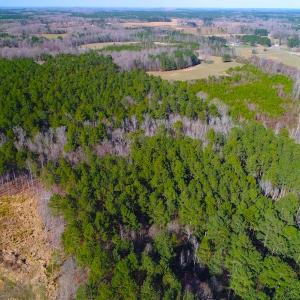 Photo of SOLD!  12.65 Acres of Residential Timber Land For Sale In Granville County NC!