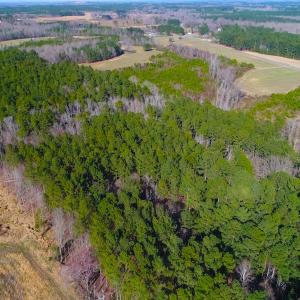 Photo of SOLD!  12.65 Acres of Residential Timber Land For Sale In Granville County NC!